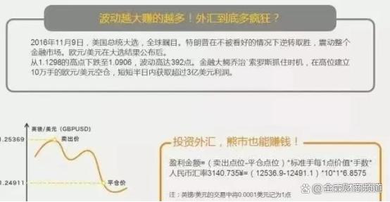 中国的外汇政策(中国的外汇政策是什么)