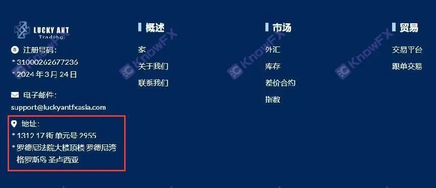 外汇跟单网站(外汇跟单app下载) 外汇跟单网站(外汇跟单app下载)