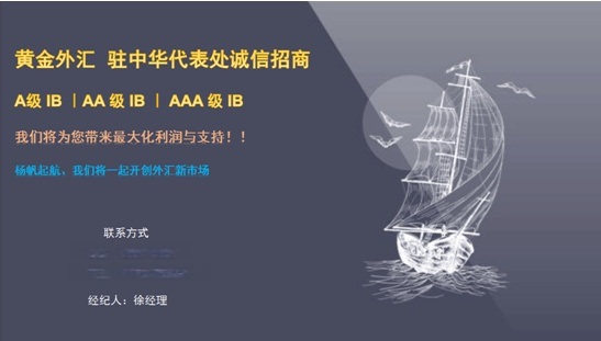 fp外汇(外汇平台正规查询) fp外汇(外汇平台正规查询)