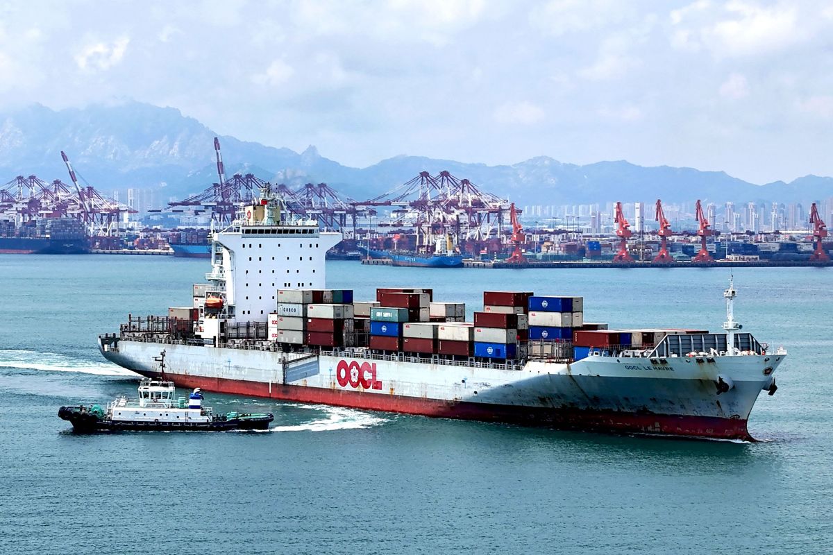 外汇许可证(外汇许可证和外汇经营许可证) 外汇许可证(外汇许可证和外汇经营许可证)