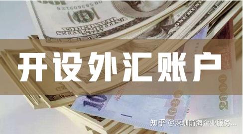 外汇许可证(经营外汇业务许可证) 外汇许可证(经营外汇业务许可证)