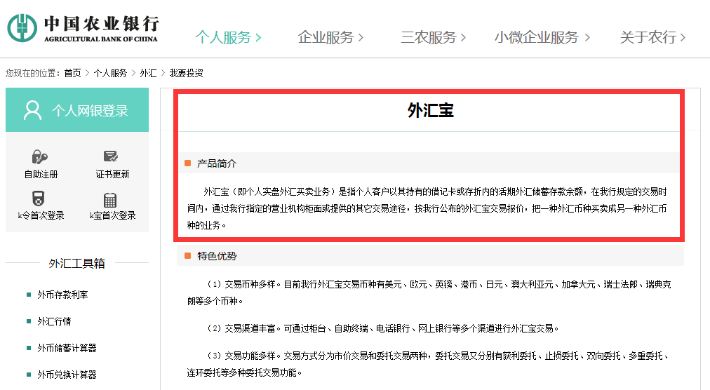 个人外汇规定(个人外汇管制新规2020)